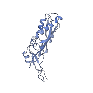7834_6d90_CC_v1-2
Mammalian 80S ribosome with a double translocated CrPV-IRES, P-site tRNA and eRF1.