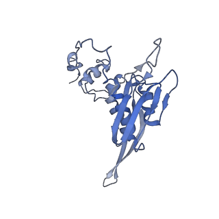 7834_6d90_DD_v1-2
Mammalian 80S ribosome with a double translocated CrPV-IRES, P-site tRNA and eRF1.