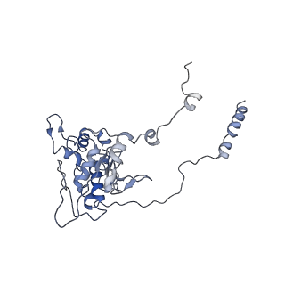 7834_6d90_D_v1-2
Mammalian 80S ribosome with a double translocated CrPV-IRES, P-site tRNA and eRF1.