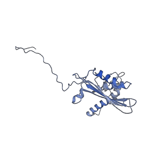 7834_6d90_EE_v1-2
Mammalian 80S ribosome with a double translocated CrPV-IRES, P-site tRNA and eRF1.