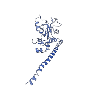 7834_6d90_F_v1-2
Mammalian 80S ribosome with a double translocated CrPV-IRES, P-site tRNA and eRF1.