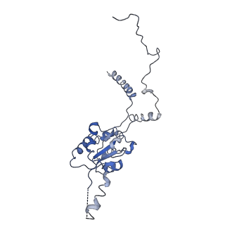 7834_6d90_G_v1-2
Mammalian 80S ribosome with a double translocated CrPV-IRES, P-site tRNA and eRF1.