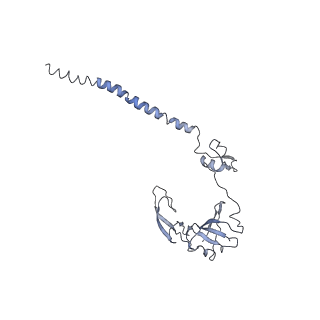 7834_6d90_HH_v1-2
Mammalian 80S ribosome with a double translocated CrPV-IRES, P-site tRNA and eRF1.