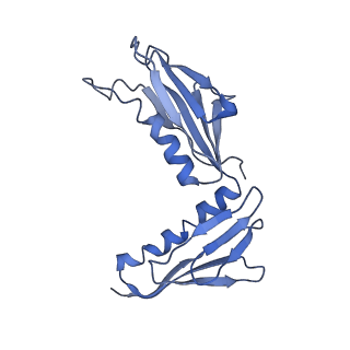 7834_6d90_H_v1-2
Mammalian 80S ribosome with a double translocated CrPV-IRES, P-site tRNA and eRF1.