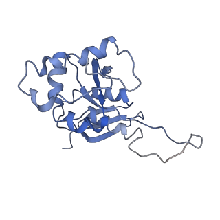 7834_6d90_II_v1-2
Mammalian 80S ribosome with a double translocated CrPV-IRES, P-site tRNA and eRF1.