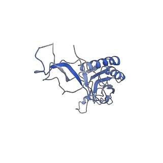 7834_6d90_I_v1-2
Mammalian 80S ribosome with a double translocated CrPV-IRES, P-site tRNA and eRF1.