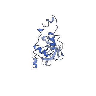 7834_6d90_JJ_v1-2
Mammalian 80S ribosome with a double translocated CrPV-IRES, P-site tRNA and eRF1.