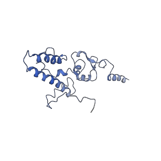 7834_6d90_KK_v1-2
Mammalian 80S ribosome with a double translocated CrPV-IRES, P-site tRNA and eRF1.