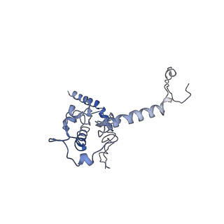 7834_6d90_L_v1-2
Mammalian 80S ribosome with a double translocated CrPV-IRES, P-site tRNA and eRF1.