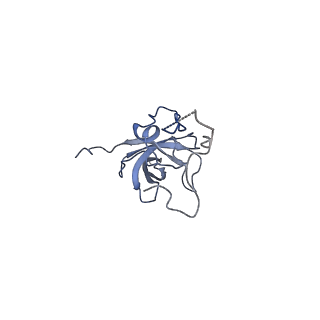 7834_6d90_MM_v1-2
Mammalian 80S ribosome with a double translocated CrPV-IRES, P-site tRNA and eRF1.
