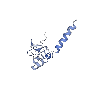 7834_6d90_M_v1-2
Mammalian 80S ribosome with a double translocated CrPV-IRES, P-site tRNA and eRF1.
