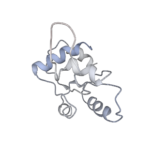 7834_6d90_NN_v1-2
Mammalian 80S ribosome with a double translocated CrPV-IRES, P-site tRNA and eRF1.