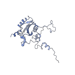 7834_6d90_N_v1-2
Mammalian 80S ribosome with a double translocated CrPV-IRES, P-site tRNA and eRF1.