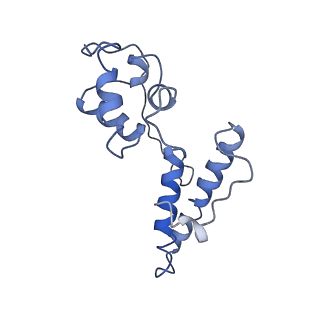 7834_6d90_OO_v1-2
Mammalian 80S ribosome with a double translocated CrPV-IRES, P-site tRNA and eRF1.