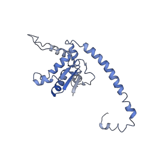 7834_6d90_O_v1-2
Mammalian 80S ribosome with a double translocated CrPV-IRES, P-site tRNA and eRF1.