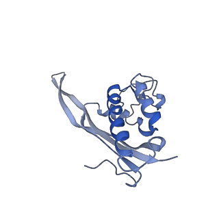 7834_6d90_P_v1-2
Mammalian 80S ribosome with a double translocated CrPV-IRES, P-site tRNA and eRF1.