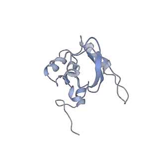7834_6d90_QQ_v1-2
Mammalian 80S ribosome with a double translocated CrPV-IRES, P-site tRNA and eRF1.