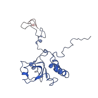 7834_6d90_Q_v1-2
Mammalian 80S ribosome with a double translocated CrPV-IRES, P-site tRNA and eRF1.