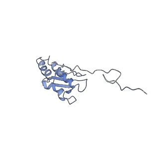 7834_6d90_RR_v1-2
Mammalian 80S ribosome with a double translocated CrPV-IRES, P-site tRNA and eRF1.