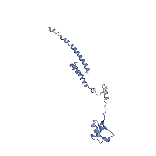 7834_6d90_R_v1-2
Mammalian 80S ribosome with a double translocated CrPV-IRES, P-site tRNA and eRF1.