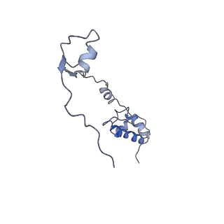 7834_6d90_SS_v1-2
Mammalian 80S ribosome with a double translocated CrPV-IRES, P-site tRNA and eRF1.