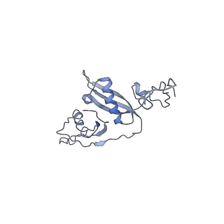 7834_6d90_S_v1-2
Mammalian 80S ribosome with a double translocated CrPV-IRES, P-site tRNA and eRF1.