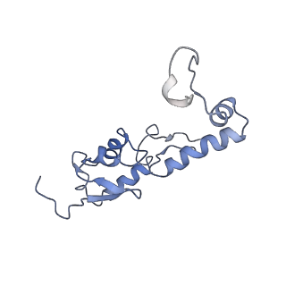 7834_6d90_TT_v1-2
Mammalian 80S ribosome with a double translocated CrPV-IRES, P-site tRNA and eRF1.