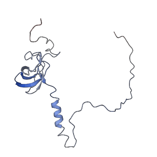 7834_6d90_T_v1-2
Mammalian 80S ribosome with a double translocated CrPV-IRES, P-site tRNA and eRF1.