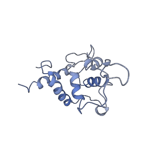 7834_6d90_UU_v1-2
Mammalian 80S ribosome with a double translocated CrPV-IRES, P-site tRNA and eRF1.
