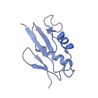 7834_6d90_U_v1-2
Mammalian 80S ribosome with a double translocated CrPV-IRES, P-site tRNA and eRF1.