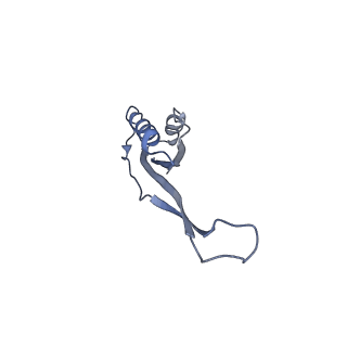 7834_6d90_VV_v1-2
Mammalian 80S ribosome with a double translocated CrPV-IRES, P-site tRNA and eRF1.