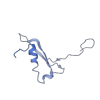 7834_6d90_WW_v1-2
Mammalian 80S ribosome with a double translocated CrPV-IRES, P-site tRNA and eRF1.