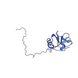 7834_6d90_X_v1-2
Mammalian 80S ribosome with a double translocated CrPV-IRES, P-site tRNA and eRF1.