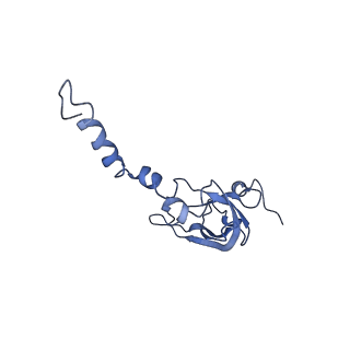 7834_6d90_YY_v1-2
Mammalian 80S ribosome with a double translocated CrPV-IRES, P-site tRNA and eRF1.