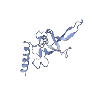 7834_6d90_Y_v1-2
Mammalian 80S ribosome with a double translocated CrPV-IRES, P-site tRNA and eRF1.