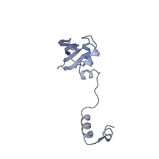 7834_6d90_ZZ_v1-2
Mammalian 80S ribosome with a double translocated CrPV-IRES, P-site tRNA and eRF1.