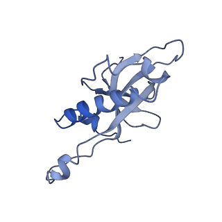 7834_6d90_Z_v1-2
Mammalian 80S ribosome with a double translocated CrPV-IRES, P-site tRNA and eRF1.