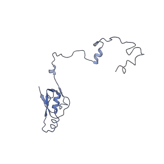 7834_6d90_a_v1-2
Mammalian 80S ribosome with a double translocated CrPV-IRES, P-site tRNA and eRF1.