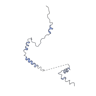 7834_6d90_b_v1-2
Mammalian 80S ribosome with a double translocated CrPV-IRES, P-site tRNA and eRF1.