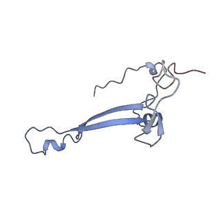 7834_6d90_bb_v1-2
Mammalian 80S ribosome with a double translocated CrPV-IRES, P-site tRNA and eRF1.