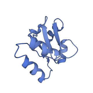 7834_6d90_c_v1-2
Mammalian 80S ribosome with a double translocated CrPV-IRES, P-site tRNA and eRF1.