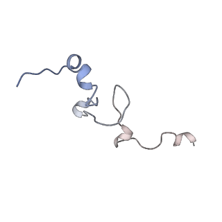 7834_6d90_ee_v1-2
Mammalian 80S ribosome with a double translocated CrPV-IRES, P-site tRNA and eRF1.