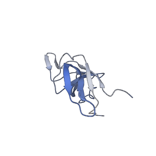 7834_6d90_f_v1-2
Mammalian 80S ribosome with a double translocated CrPV-IRES, P-site tRNA and eRF1.