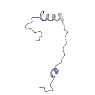 7834_6d90_ff_v1-2
Mammalian 80S ribosome with a double translocated CrPV-IRES, P-site tRNA and eRF1.