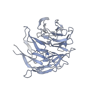 7834_6d90_hh_v1-2
Mammalian 80S ribosome with a double translocated CrPV-IRES, P-site tRNA and eRF1.
