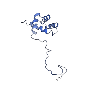 7834_6d90_i_v1-2
Mammalian 80S ribosome with a double translocated CrPV-IRES, P-site tRNA and eRF1.