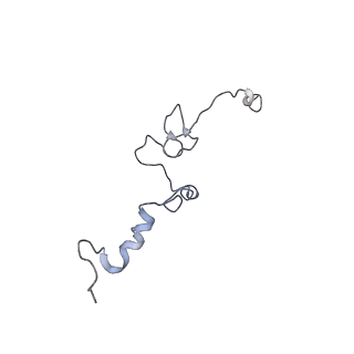 7834_6d90_j_v1-2
Mammalian 80S ribosome with a double translocated CrPV-IRES, P-site tRNA and eRF1.