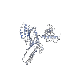 7834_6d90_jj_v1-2
Mammalian 80S ribosome with a double translocated CrPV-IRES, P-site tRNA and eRF1.