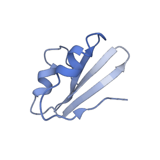 7834_6d90_k_v1-2
Mammalian 80S ribosome with a double translocated CrPV-IRES, P-site tRNA and eRF1.