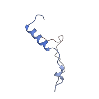 7834_6d90_l_v1-2
Mammalian 80S ribosome with a double translocated CrPV-IRES, P-site tRNA and eRF1.